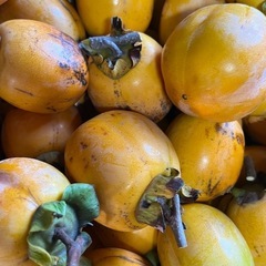 渋柿2キロ
の画像