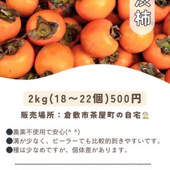 渋柿2キロ
の画像