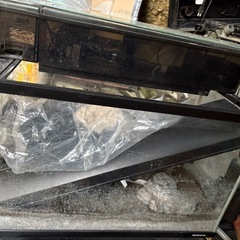 水槽2台、魚2匹セットの画像