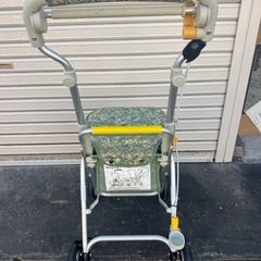 シルバーカー(ﾟ∀ﾟ)の画像