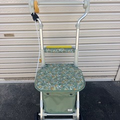 シルバーカー(ﾟ∀ﾟ)の画像