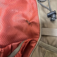 キャンプ　大容量　バックパックの画像