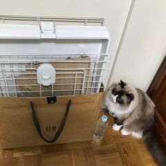 差し上げます！　余り使用しなかったので綺麗です。キャット用ゲージ　アイリスオーヤマ　　の画像