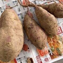 (お取引中)さつまいも 4個🍠の画像
