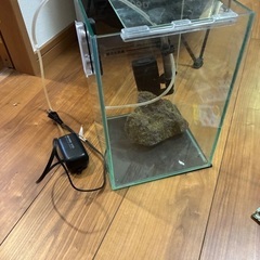 メダカセットの画像