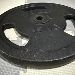 ALEX社製BPBEZペイントプレート 15kg ×2枚の画像