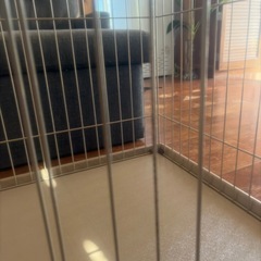 犬ゲージ
の画像