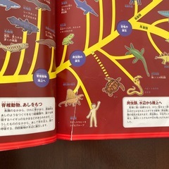 恐竜図鑑の画像