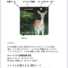 トレイルカメラ　夜間　監視カメラの画像