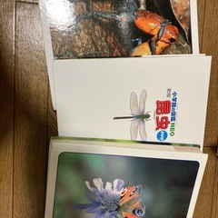 学研の図鑑3冊の画像