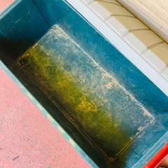 アイリス 収納ケース コンテナ 荷物入れ 軒下 ベランダ　ガーデニング  Irisの画像