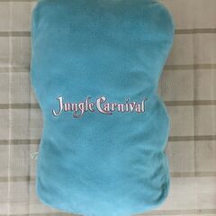 東京ディズニーランド  プルート　クッションの画像