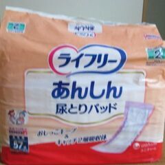 ｛開封済｝大人用紙オムツ・尿取りパッド、子供用紙パンツの画像