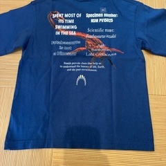 【新品】Tシャツ　130cmの画像