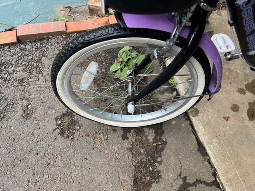 子供用自転車　女の子　幼児　