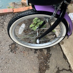 子供用自転車　女の子　幼児　の画像