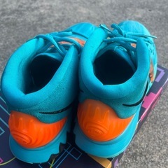 カイリー　バッシュの画像