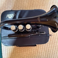 コルネット？の画像