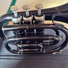 コルネット？の画像