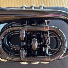 コルネット？の画像