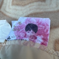 中古　純毛シングル毛布の画像