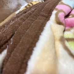 すみっコぐらし 枕、シングル毛布の画像