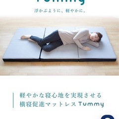 三つ折りマットレスの画像