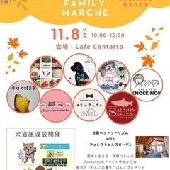 contatto family marché