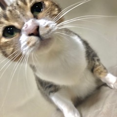 可愛い穏やかな女の子❤️❤️