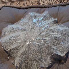 ガラスプレートの画像