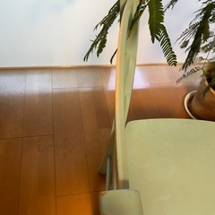 NITORI 椅子　2脚の画像