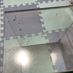 ガラス水槽の画像