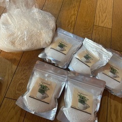 ヒトデ、砂の画像