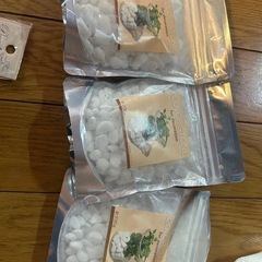 ヒトデ、砂の画像