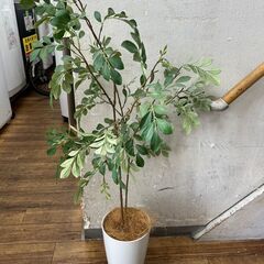  プレミアム光触媒フェイクグリーン シマトネリコ🚚自社配送時💳代...