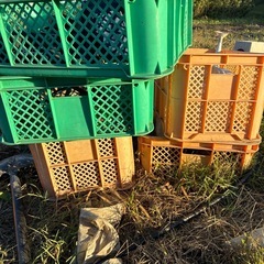 お渡し先決定)収穫かご約30個の画像