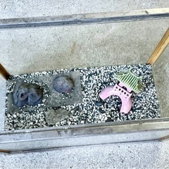 ガラス製水槽の画像