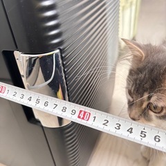 ミニ温冷蔵庫　中古の画像