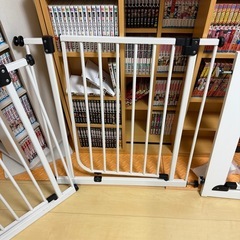 ゲート３つ　ゲージ8枚の画像