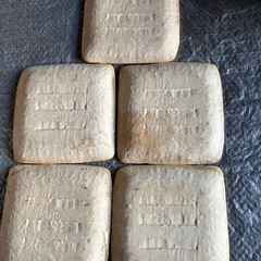 和柄の皿の画像