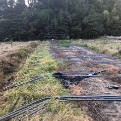 ビニールハウスの画像