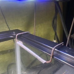 水槽(幅33cm、縦36cm、長さ90cm)
の画像