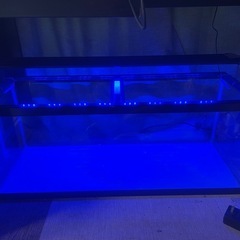水槽(幅33cm、縦36cm、長さ90cm)
の画像