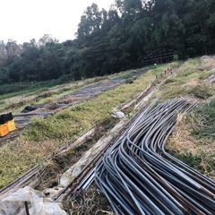 ビニールハウスの画像