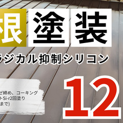 1軒限定！屋根塗装特大キャンペーン！塗装の事なら合同会社Suiren