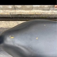 SUZUKI アドレスV50の画像