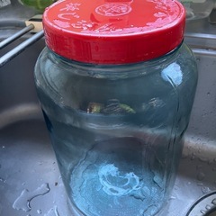 ガラス瓶の画像