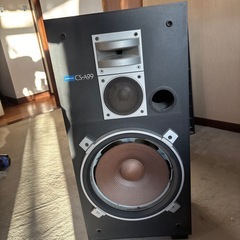 パイオニア CS-A99
　の画像