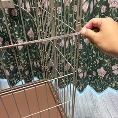 【中古品】ペットケージ　猫ちゃん用　の画像
