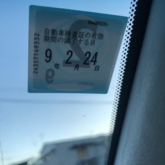 ブルーバードシルフィ
の画像